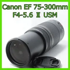 キャノンCANON EF 75-300mm F4-5.6 II USM #182 - メルカリ