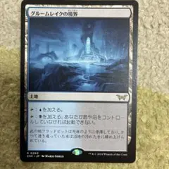 MTG グルームレイクの境界 英語 - メルカリ