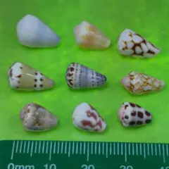 amiha様 リクエスト 9点 まとめ商品