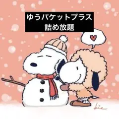 詰め放題▶︎ゆうパケットプラス