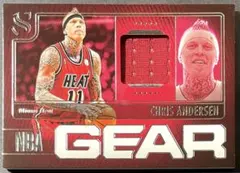 Birdman Silhouette GU Jersey マイアミヒート NBA