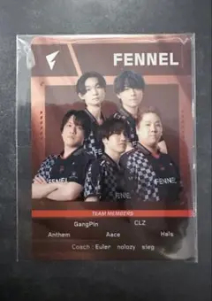 VCJ プレイヤーカード 入場特典 FENNEL GON - メルカリ