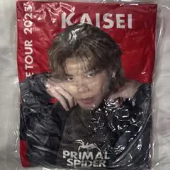 THE RAMPAGE 川村壱馬 会場限定ガチャ レアアイテム クッション THE RAMPAGE 4th ANNIVERSARY 川村壱馬BIGクッション - メルカリ