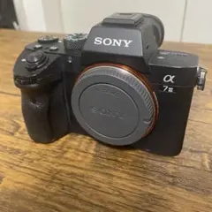 Item thumbnail for item 31035897-56d6-4a91-bf70-5b3805e1f23e