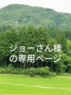 ジョーさん様の専用ページ