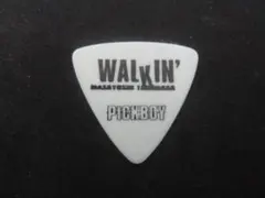 高中正義　ピック　渚・モデラート　新品未開封 高中正義 ピック 渚・モデラート 新品未開封 渚・モデラート