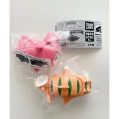 ぱくもぐ！サメジャー第3弾　ネコザメ　シュモクザメ　ガチャガチャ