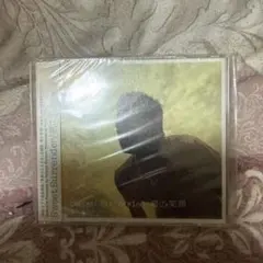 絶盤】sori sawada『真水』 - メルカリ 【絶盤】sori sawada『真水』