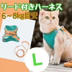 ハーネス リード L オレンジ グリーン 新品 犬 猫 散歩 セット