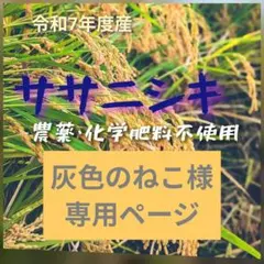 兵庫県丹波市産！ 令和7年産 農薬不使用 コシヒカリ玄米20kg - メルカリ