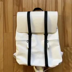 Item thumbnail for item 5698665e-be3a-4e20-ae4f-d13ef3997b31