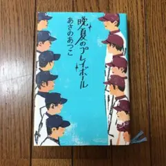 晩夏のプレイボール