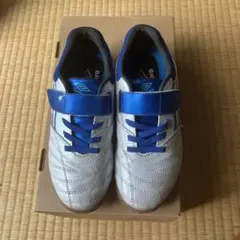 Item thumbnail for item 0b354a59-b9f2-4728-a36c-8107feb8af1d