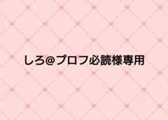 しろ@プロフ必読様専用ページ