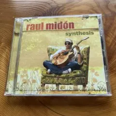 raul midón synthesis