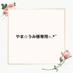 やま☆うみ様 リクエスト 2点 まとめ商品