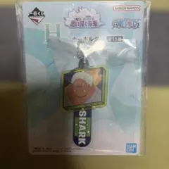 一番くじ ワンピース 思い描く未来 H賞