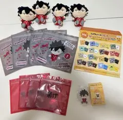 ハイキュー!! 黒尾鉄朗ぬいぐるみ4体 アクリルスタンドセット