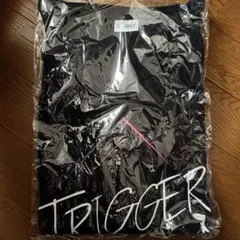 アイナナ REUNION TRIGGER Tシャツ カットソー ライブ