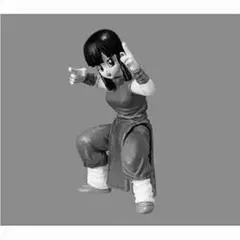 超造形魂 ドラゴンボール 天下一武道会編 チチ モノトーンVer.