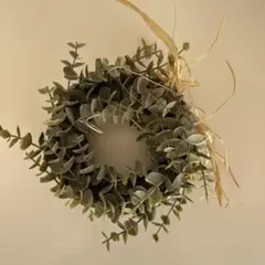 ユーカリの葉の円形リース