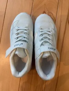 Item thumbnail for item 96db9d1e-58e3-442b-b1c5-09f627e2c2d5