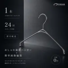 【大人気✨】クロームメッキ なで肩ハンガー TAYA 古着 撮影専用 1本❣️