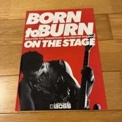 BOSS エフェクター　アンプ他カタログのサムネイル
