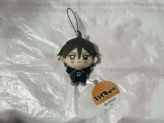 新品未使用 山口忠 ハイキュー‼︎ ぬいぷりけmini⑤