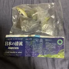 ネイチャーテクニカラー 日本の清流増補特装版 アユ