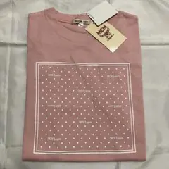 Item thumbnail for item 485b728b-8377-4150-89f9-799acb72d46d