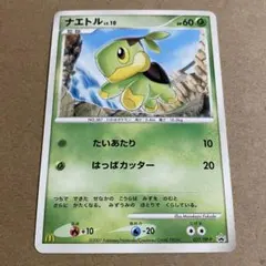 ポケモンカード ナエトル マクドナルド プロモ 027/DP-P