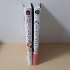 恋から始めてくれないか?　好きになってもかまへんで
