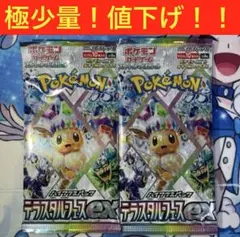 テラスタルフェスex 2パック ポケモンカード20