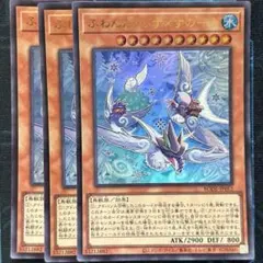 ふわんだりぃず×すのーる