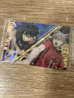 Item thumbnail for item d4d51450-857a-46aa-bc4e-bc2bf54980b4