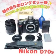 ✨Nikon D70s✨名機CCD搭載 味わい深い色彩 標準レンズ 簡単操作のサムネイル
