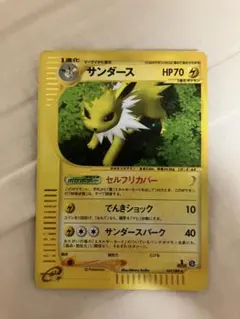 カナリア@まとめ買い受付中様 リクエスト 2点 まとめ商品