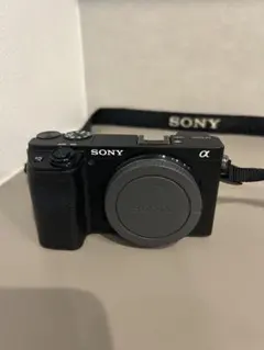 SONY α6000 SEL1018セット SD128GB付 - メルカリ