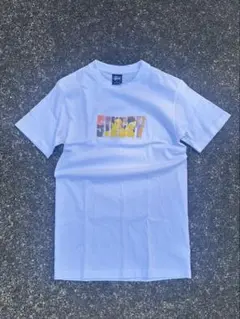《希少》 old stussy tシャツ usa製 紺タグ 短丈 y2k アート