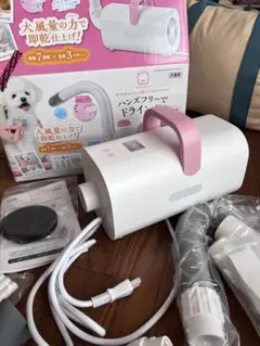 Item thumbnail for item 078c7fe5-5d50-4577-915b-1f14bf837c48