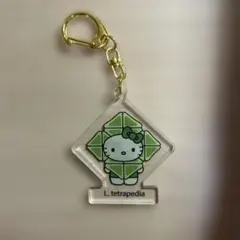 万博　藻キティ　アクリルキーホルダー