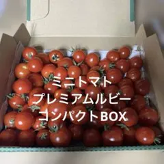 ミニトマト　プレミアムルビー　コンパクトBOXのサムネイル