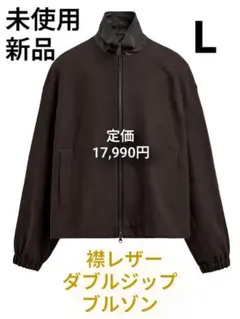 ZARA 襟レザー ダブルジップ ブルゾン L