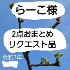 らーこ様 リクエスト 2点 まとめ商品