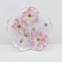レジン製ドライフラワーのヘアゴム ブローチ キーホルダー - メルカリ