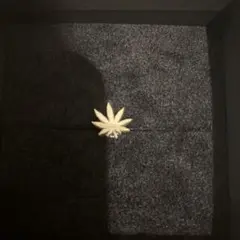 ハフ　ピアス