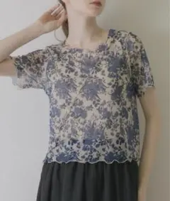 idem short sleeve sheer mellow topsのサムネイル