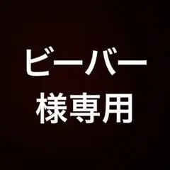 ビーバー様専用ページ