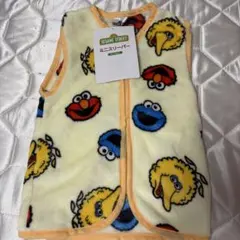 SESAME STREET ミニスリーパー 35x50cm